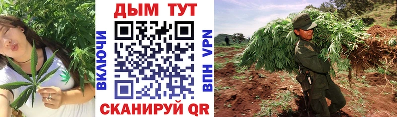 Где купить Красноармейск A-PVP  АМФ  Гашиш  Псилоцибиновые грибы  Канабис  Кокаин  МЕФ 