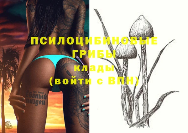 экстази Абаза