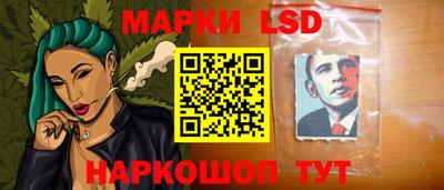 шишки Кингисепп