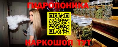 дживик Кимры