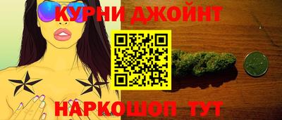 шишки Кингисепп