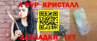 шишки Кингисепп