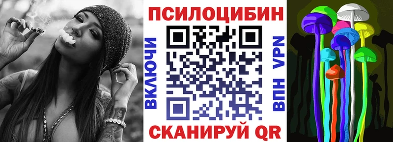 Псилоцибиновые грибы Magic Shrooms  гидра ССЫЛКА  Красноармейск 