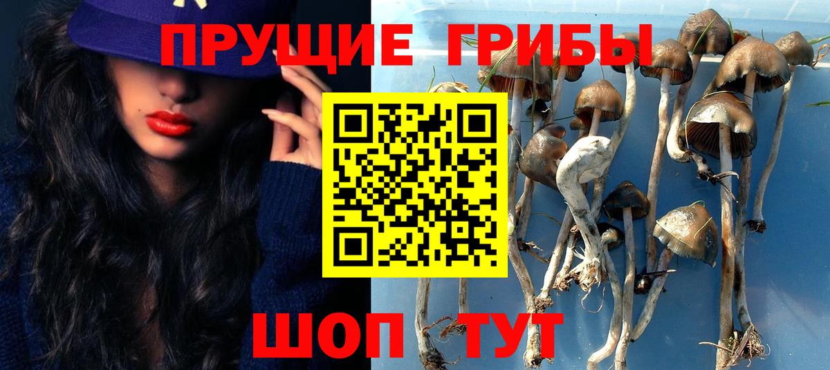 Псилоцибиновые грибы прущие грибы  Вход с VPN  Красноармейск 